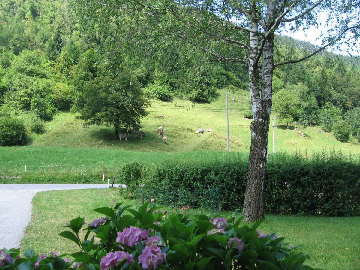 Vrata Pri Cepovanu Villa Екстериор снимка